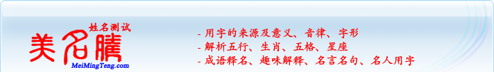 用字的來源及意義、音律、字形；五行、生肖、五格、星座；成語釋名、趣味解釋、名言名句、名人用字