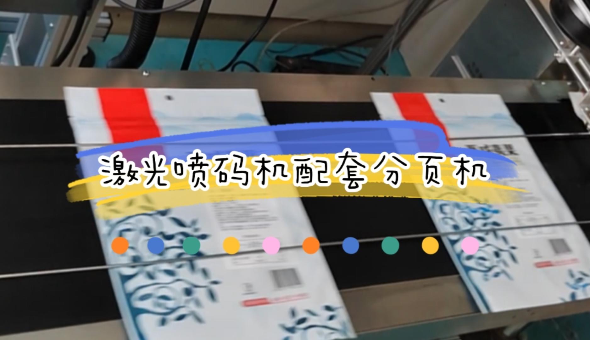分頁(yè)機(jī)激光噴碼機(jī)應(yīng)用實(shí)例